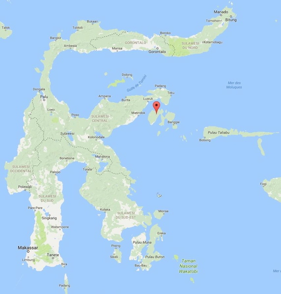 (Ile Peleng)  Sulawesi.jpg