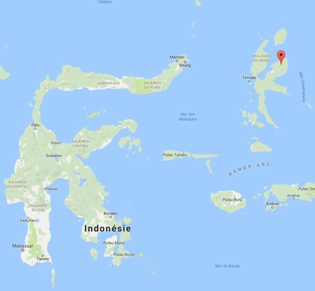 (Halmahera) Indonesie.jpg