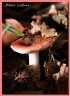 Photos nature