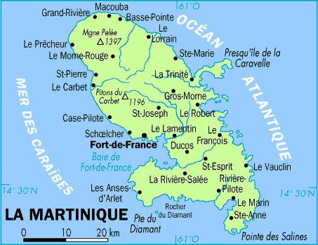 Clonistria sp (Martinique) / psg ? CLP340