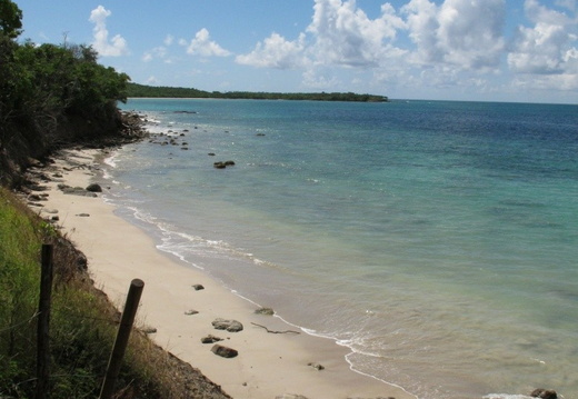 paysage cotier de la Martinique.