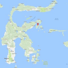 (Ile Peleng)  Sulawesi