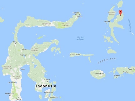 (Halmahera) Indonesie