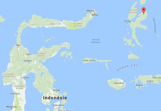 (Halmahera) Indonesie